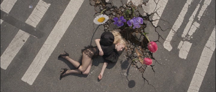 A Flowerbed in the City's Wound